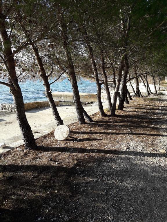 Laurus Appartamento