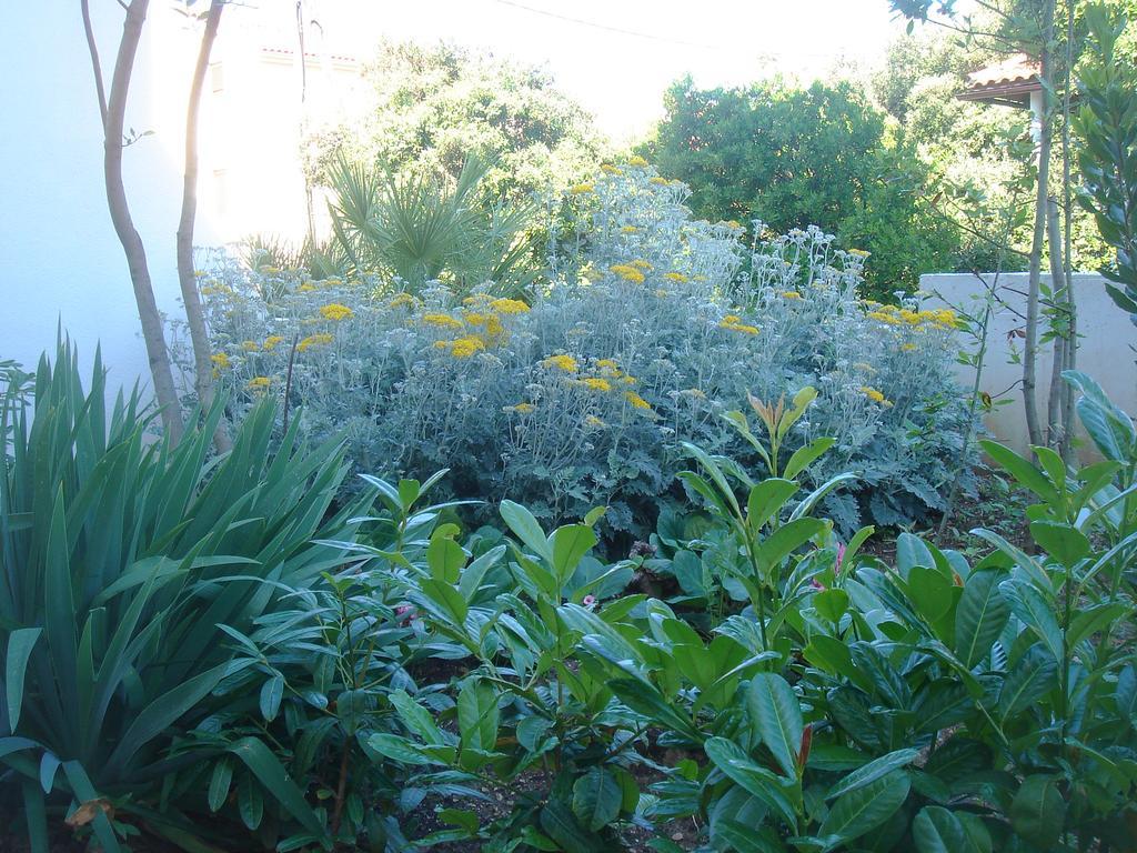 Apartment Laurus