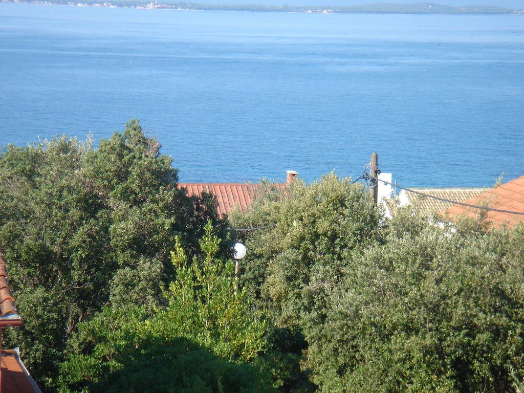Apartment Laurus Kozino