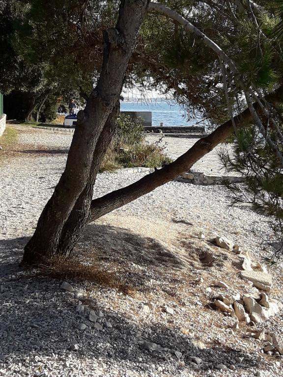 Apartment Laurus