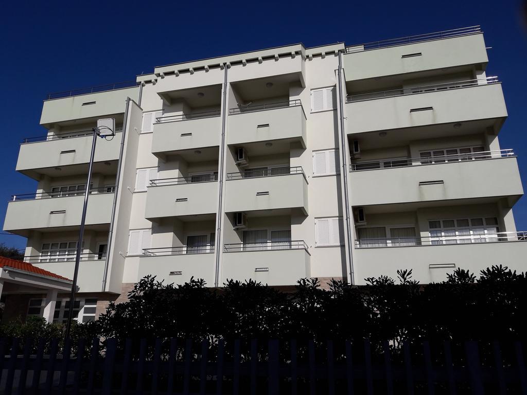 Laurus * Kozino